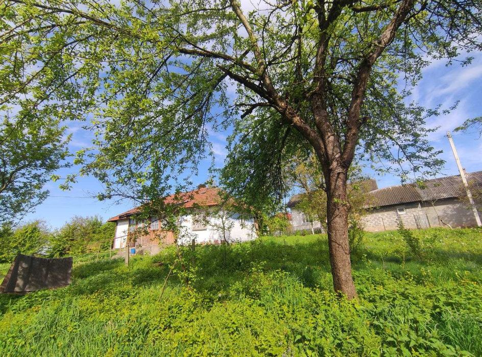 Продається одноповерховий будинок, жилий стан, біля Івано-Франківська.