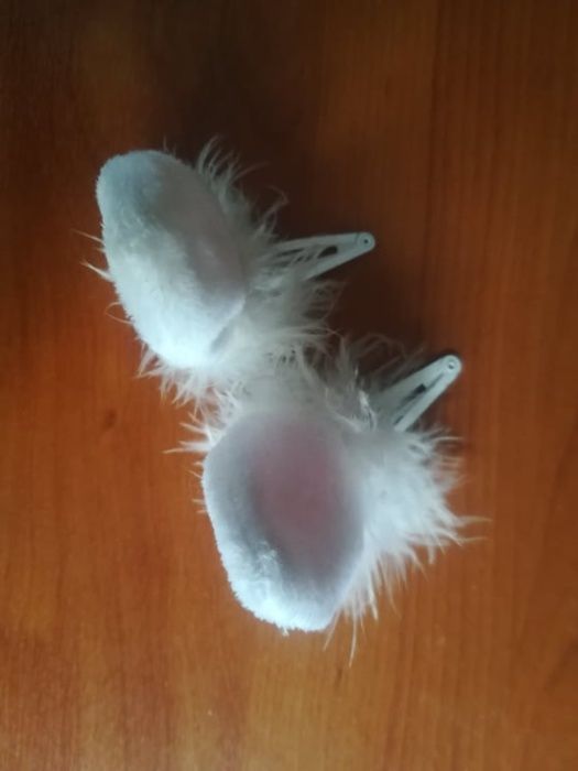 Orelhas Coelha Acessório Cabelo Carnaval