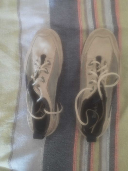 Sapatos / Sapatilhas TIMBERLAND