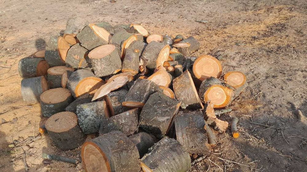 Продам дрова чурки черешня