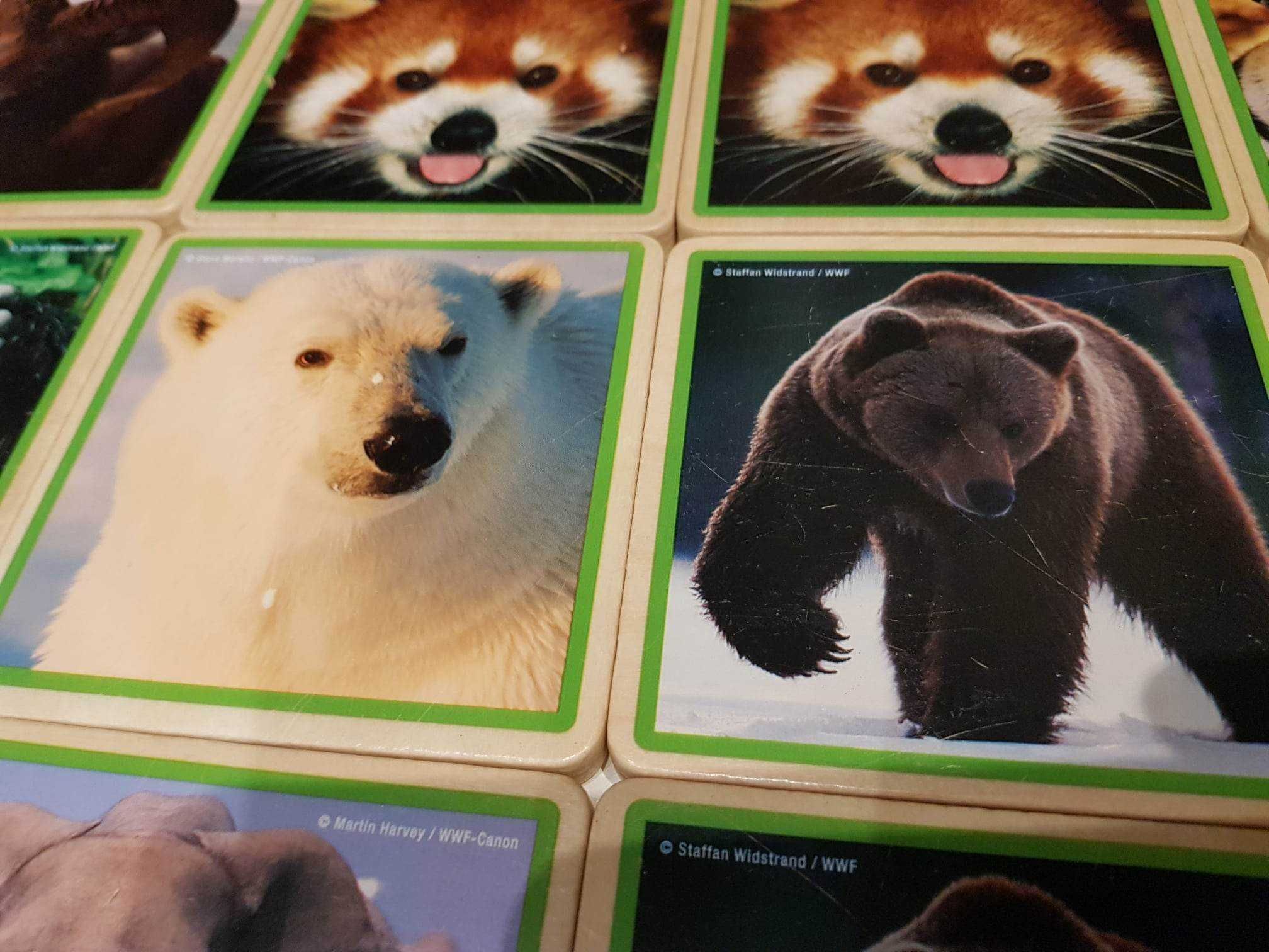 drewniane memory zwierzęta WWF Mammals Memory Game