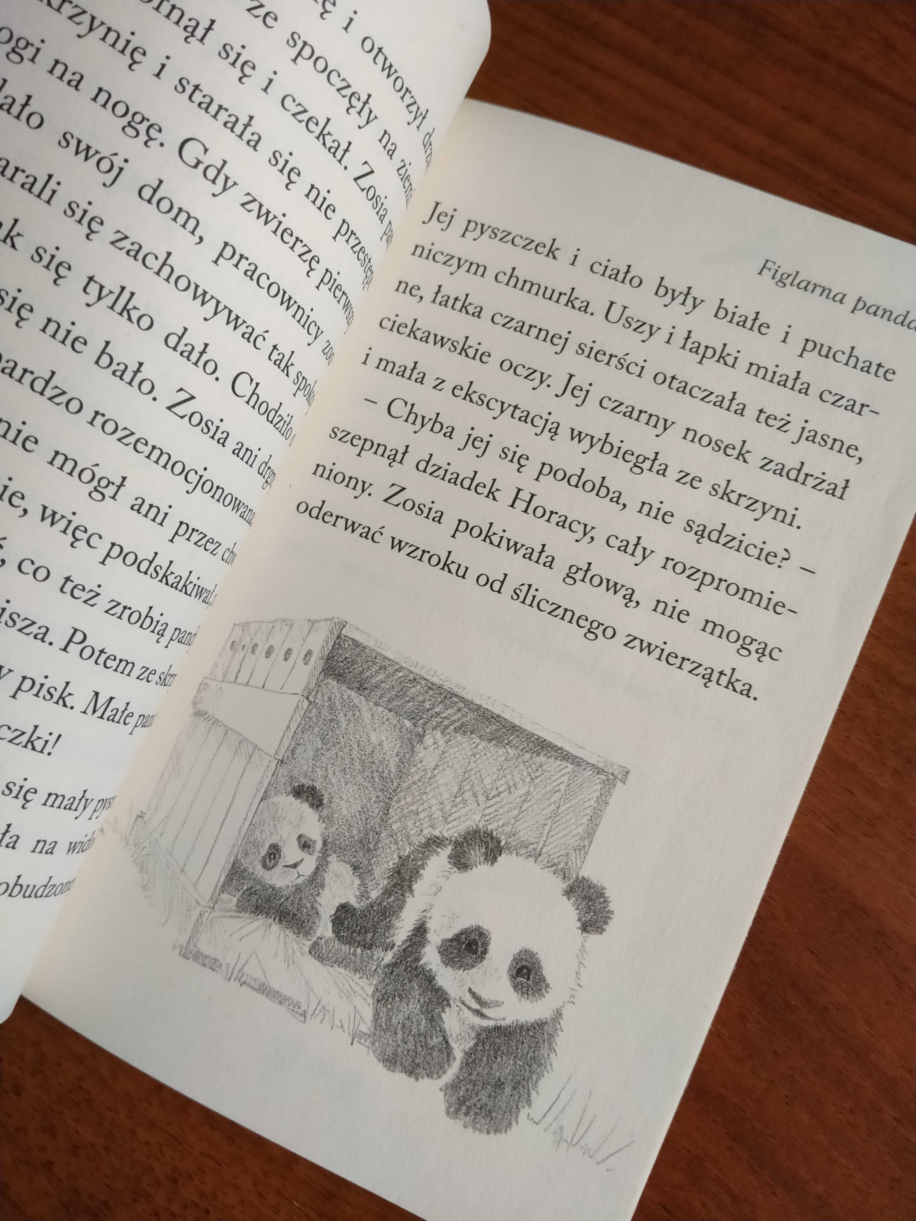 Figlarna panda, cykl Zosia i jej zoo, książka dla dzieci