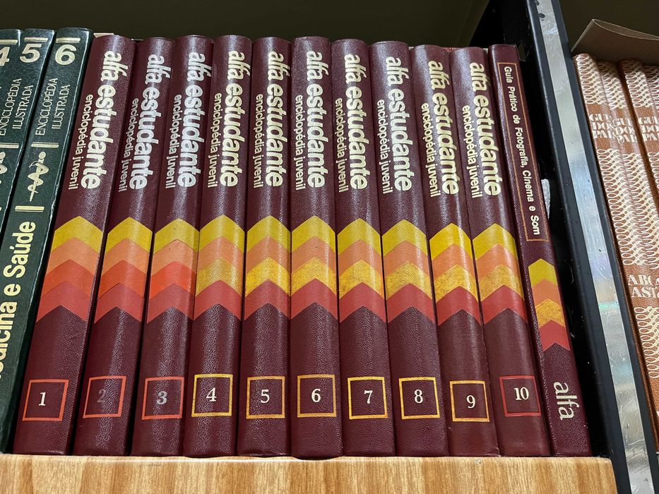 Coleção Alfa Estudante completa