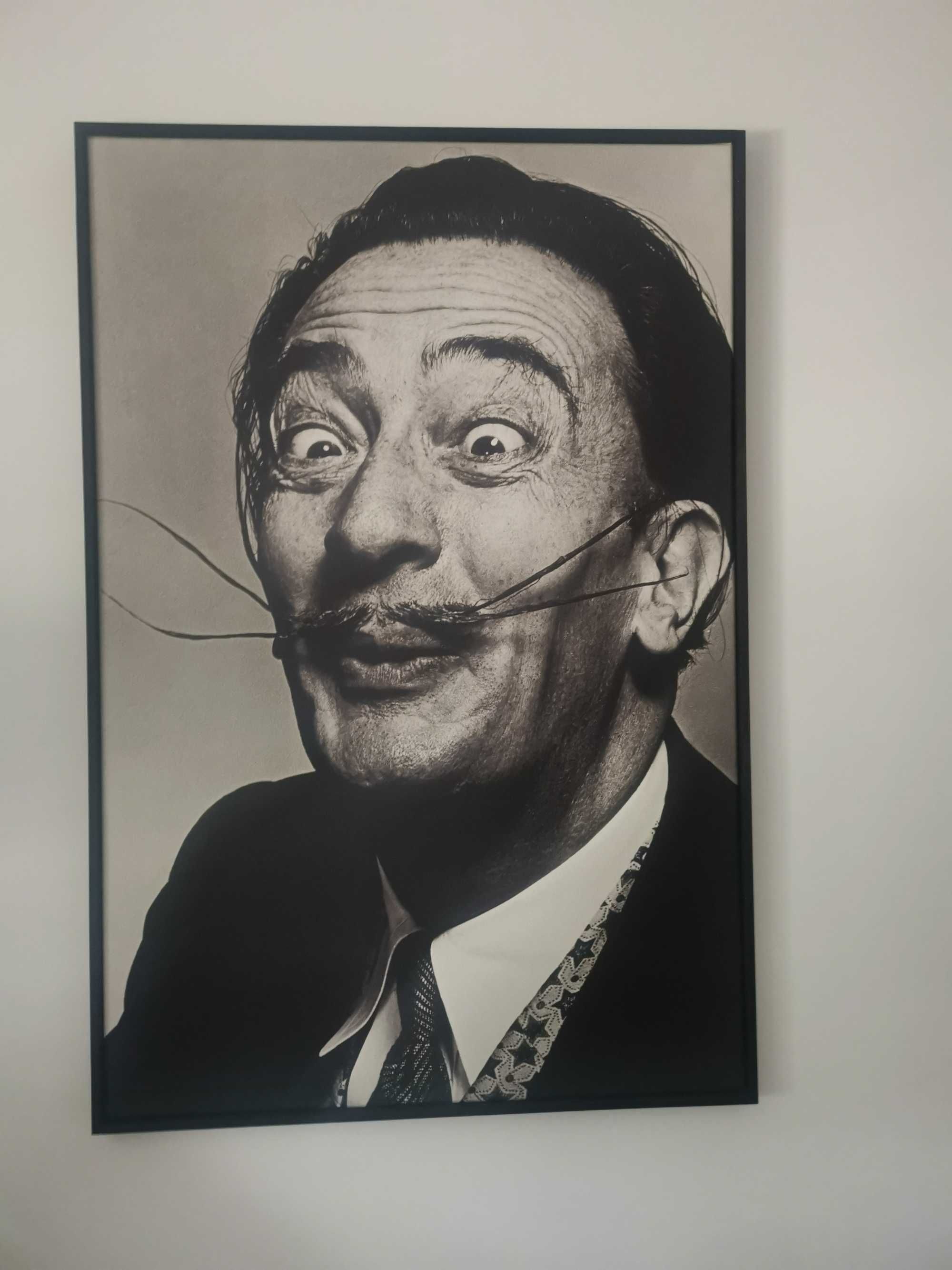 Wydruk na płótnie fotografia Salvadore Dali