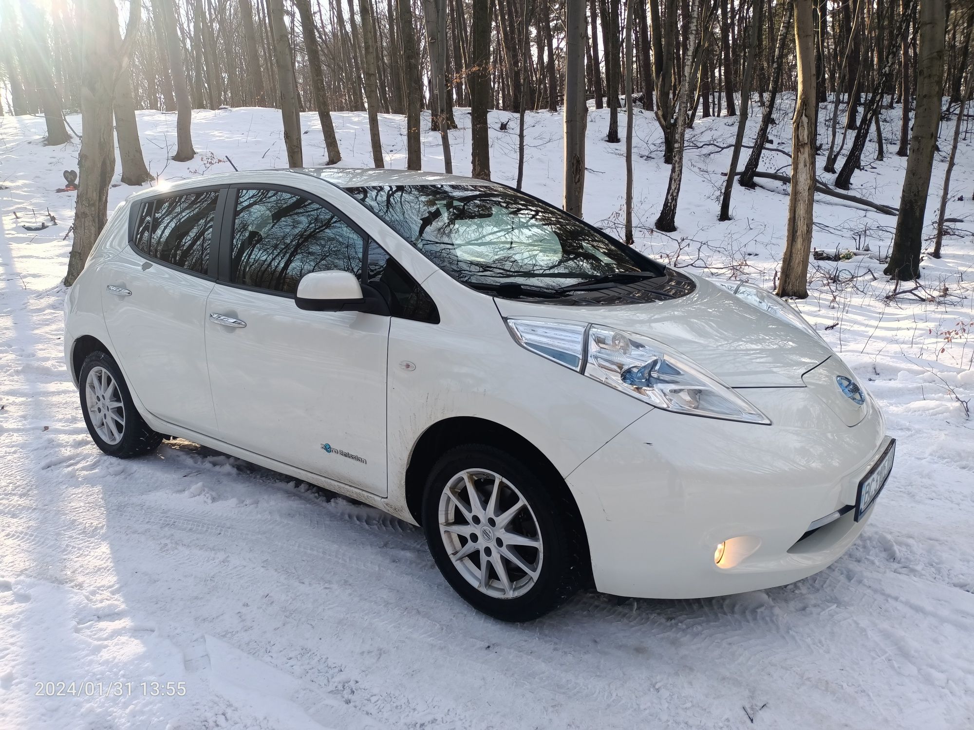 Nissan Leaf SOH 86%