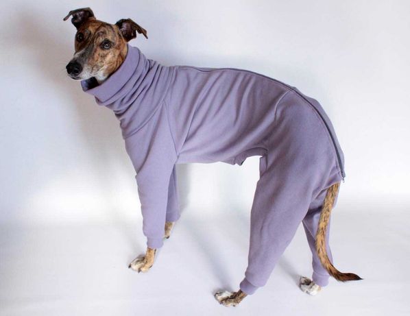 Kombinezon dla psa bawełna ciepły zimowy handmade