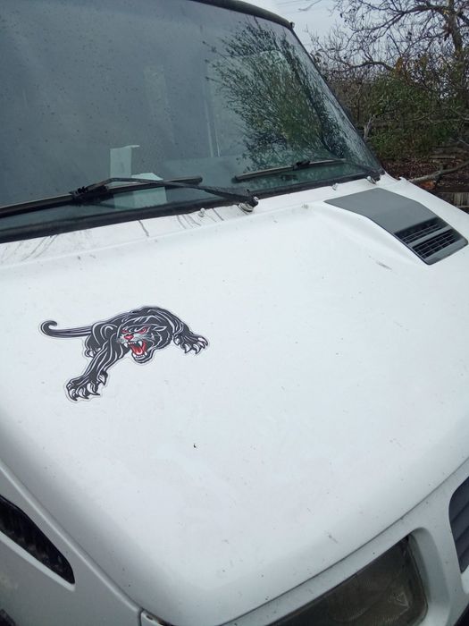 Автобусы iveco daily