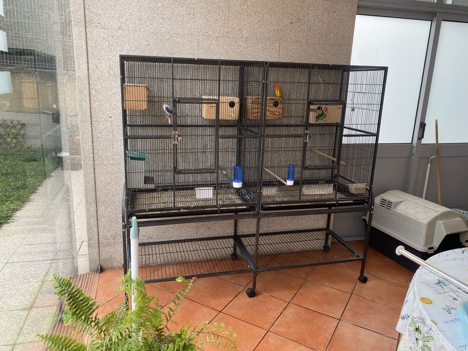 Viveiro para aves exóticas