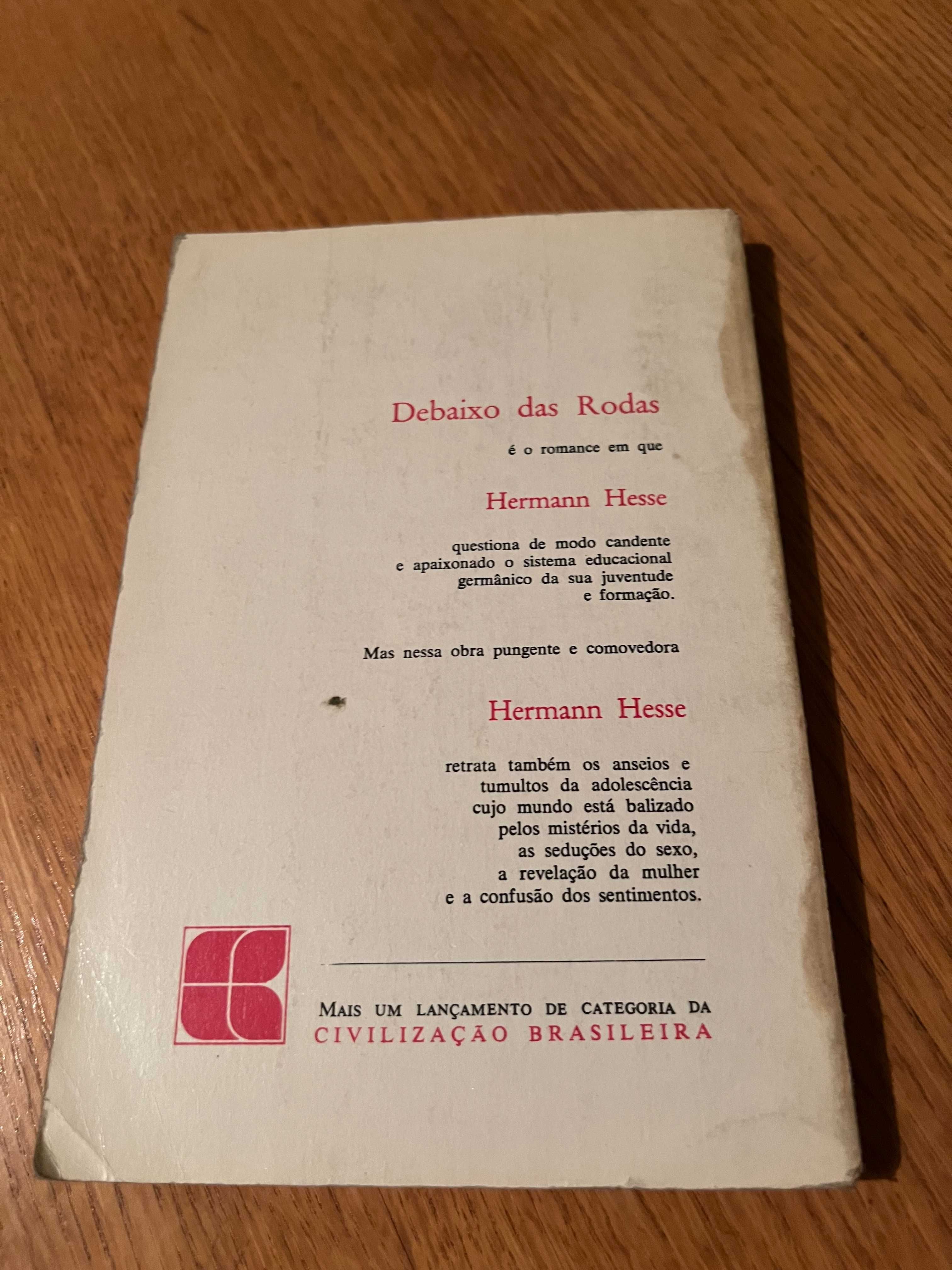 Debaixo das rodas     HERMANN HESSE