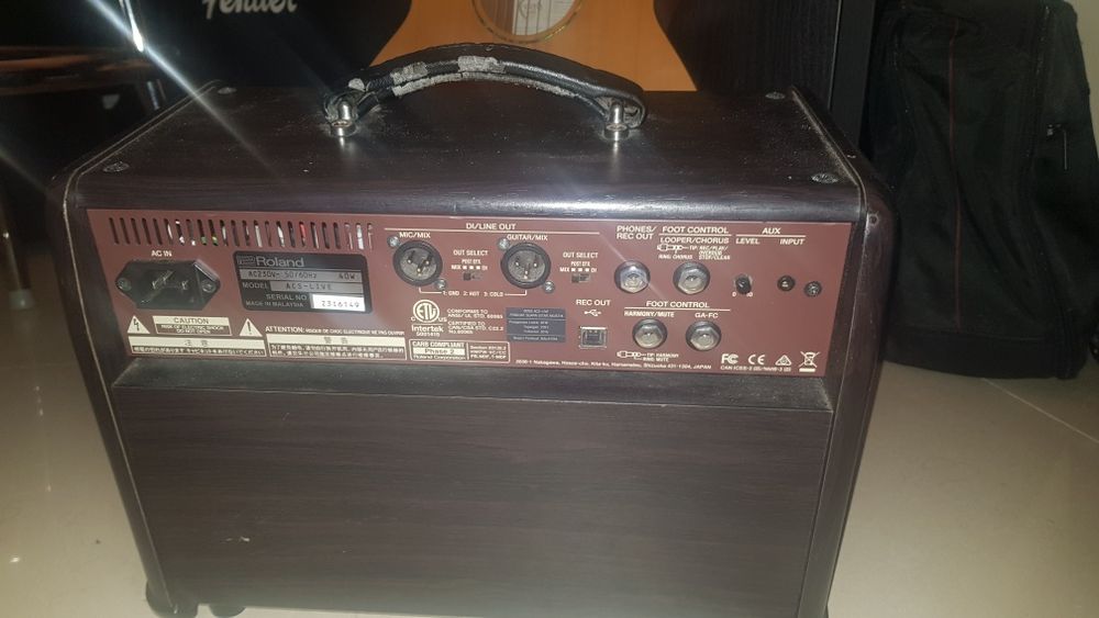 Boss acoustic singer live