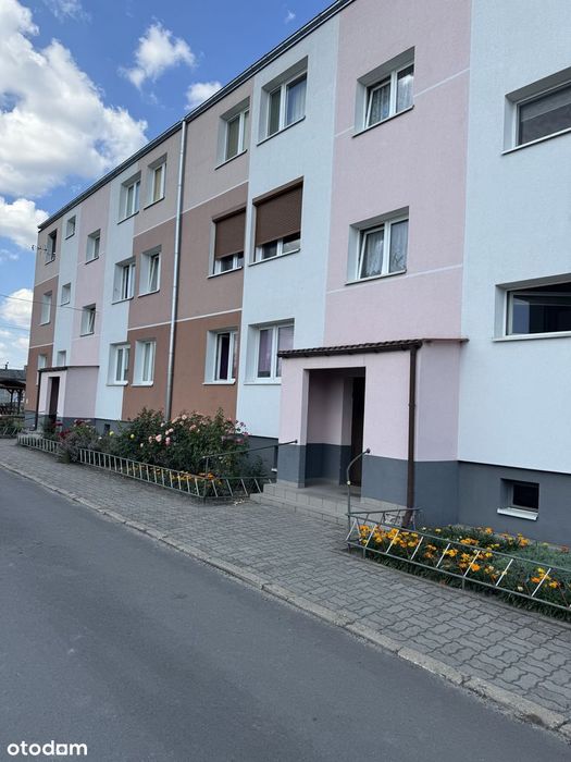 Złotniki, gmina Rogowo mieszkanie 3 pokojowe