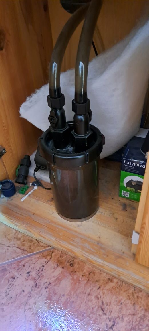 Akwarium paletki dyskowce