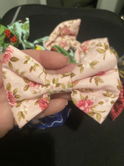 Bandana e laços para cães