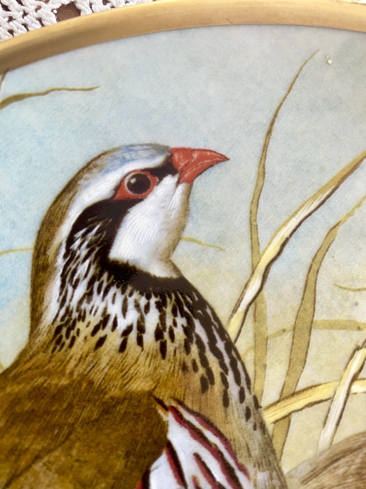 Kolekcjonerski talerz angielska porcelana