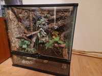 Terrarium Exo Terra 60x60x45 + Top Exo Terra 60 cm