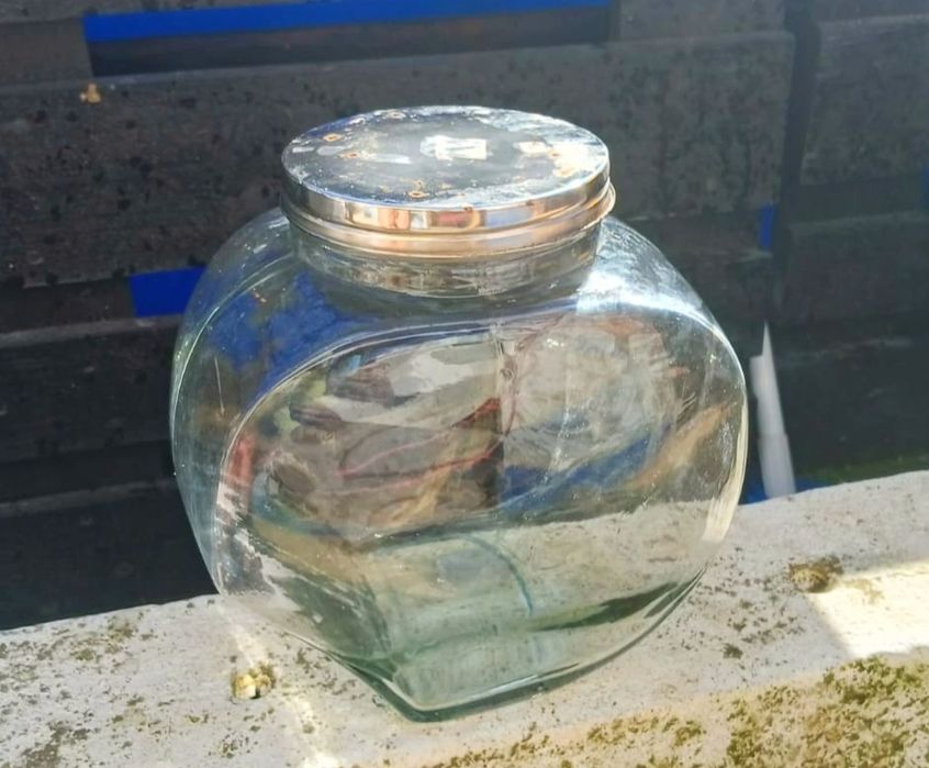 Boiões de Vidro 12+2