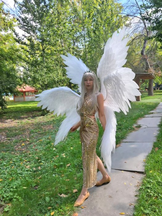 Крылья шестикрылого ангела