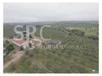 Herdade do olival das Barreiras