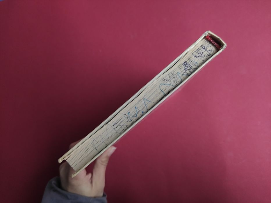 Астрид Линдгрен Пеппи длинный чулок