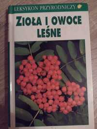 Zioła i owoce leśne