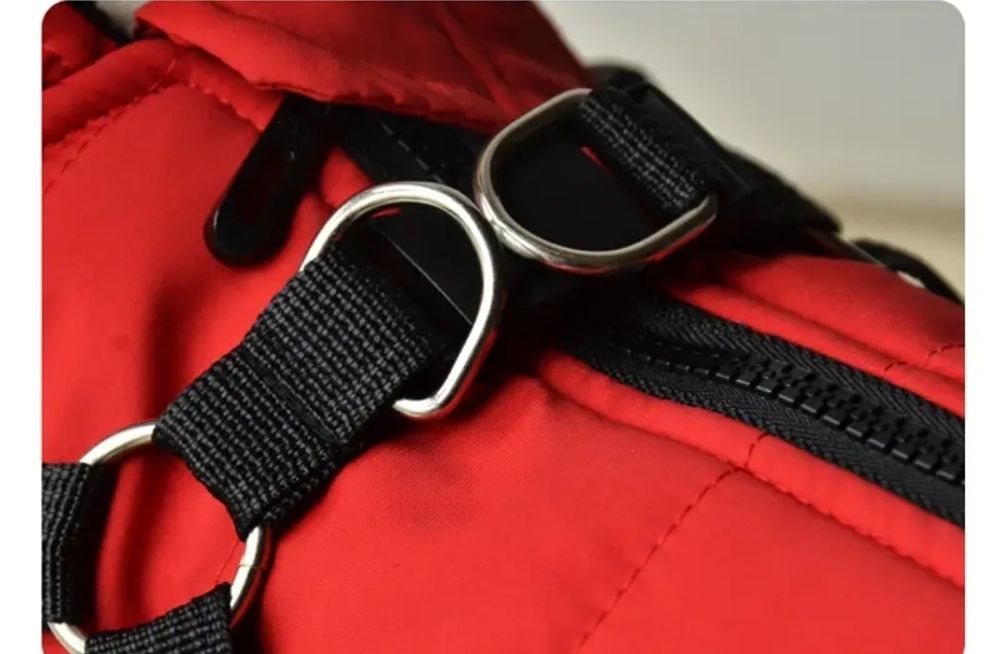 Комбінезон для собак. Мальтипу, Кокер, Джек Рассел, Такса, Йорк.