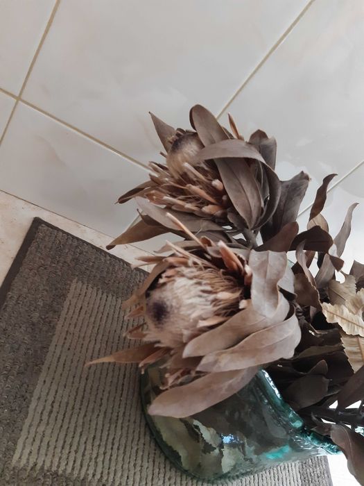 PROTEAS Secas LOTE