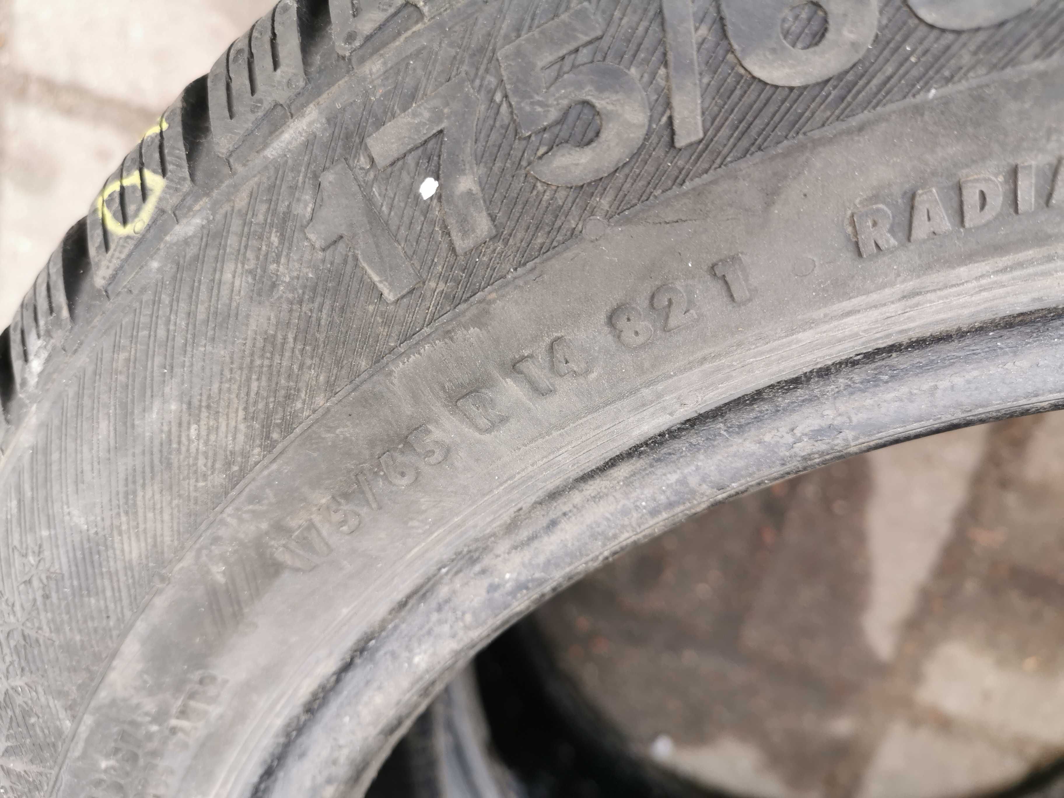 Barum Polaris 3 175/65r14 82T N1528