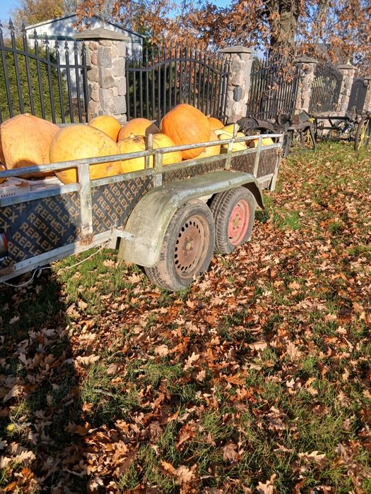 Sprzedam lub zamienie