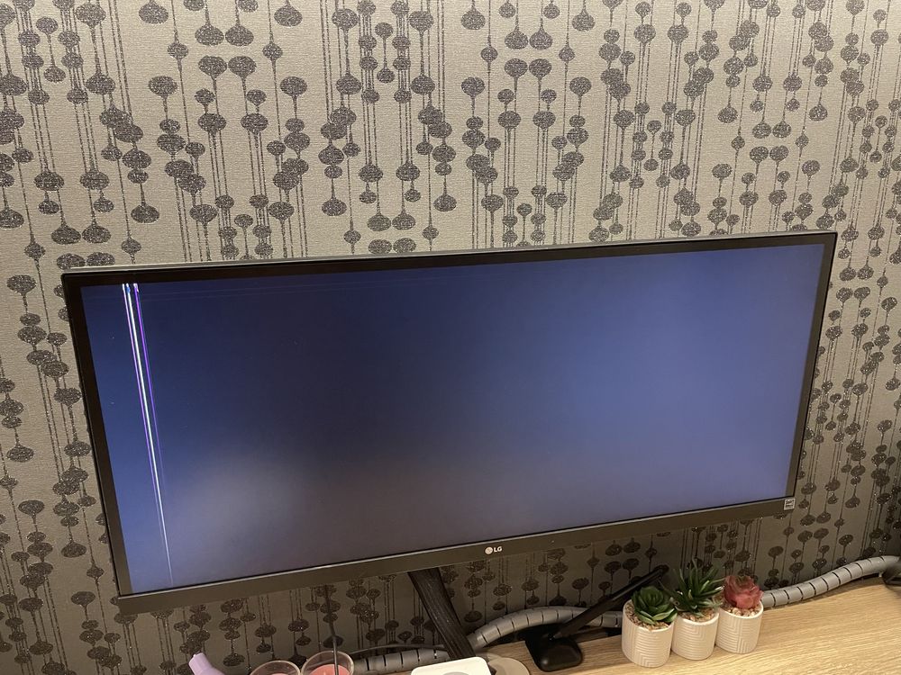 Monitor LG 29WK600-W uszkodzona matryca