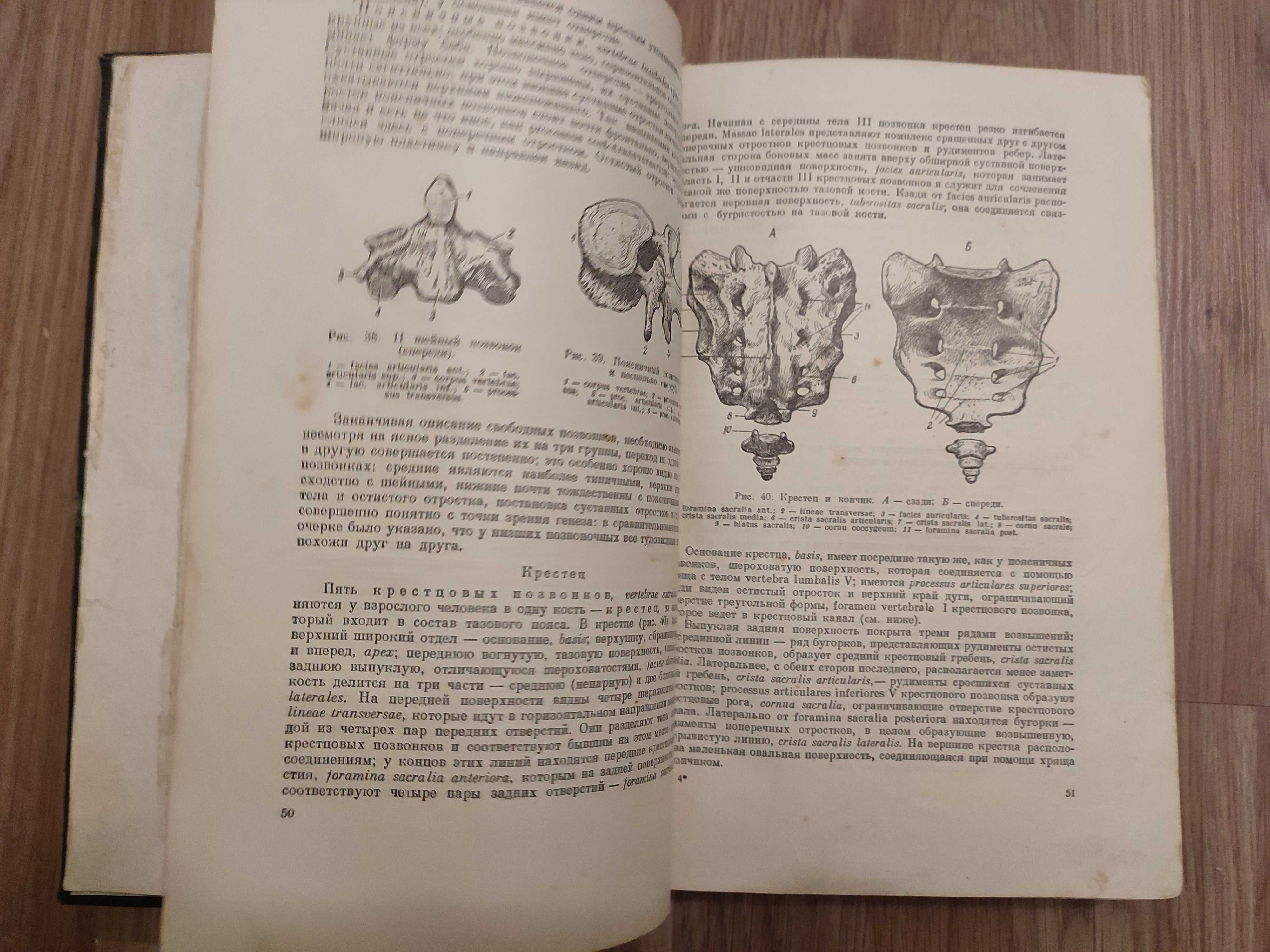 "Учебник нормальной анатомии человека",  Тонков В.Н., т.1, 1953 г