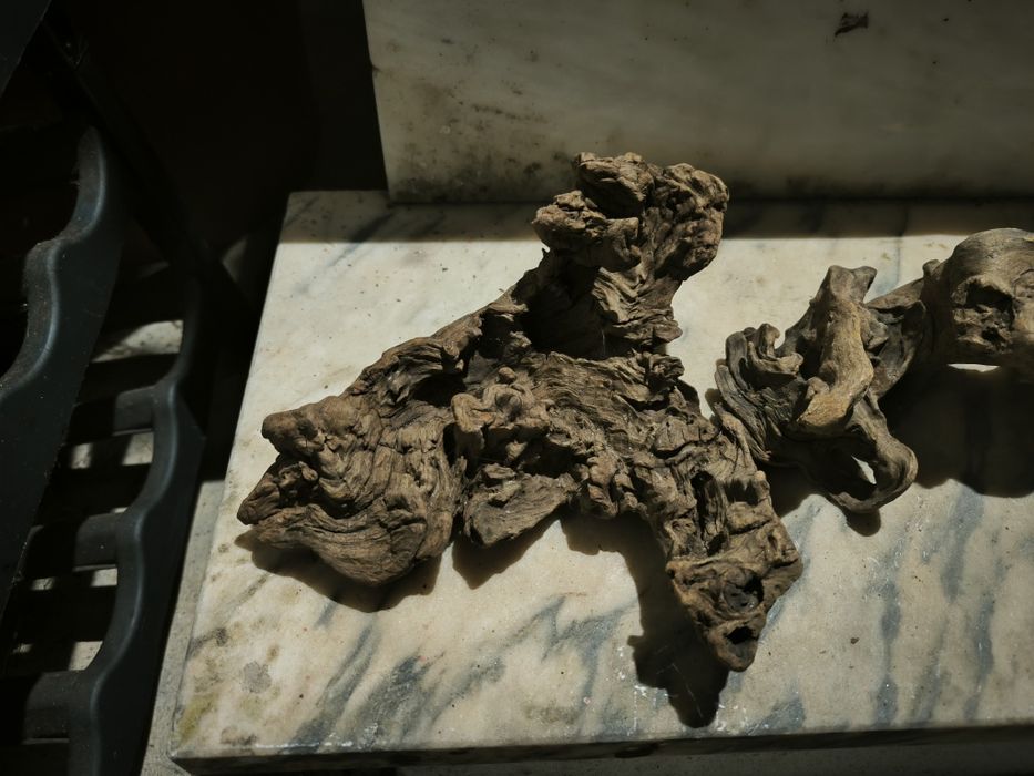 Troncos e rocha vulcânica para aquário e terrário