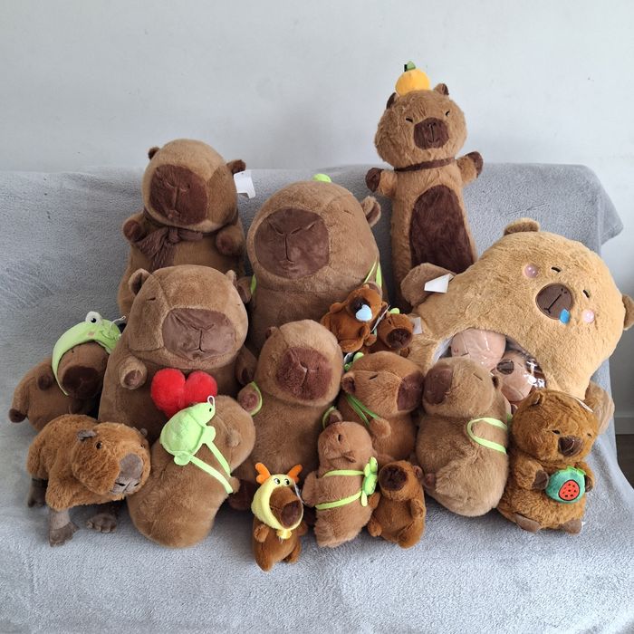 Kapibara maskotka 1 sztuka wysyłka olx