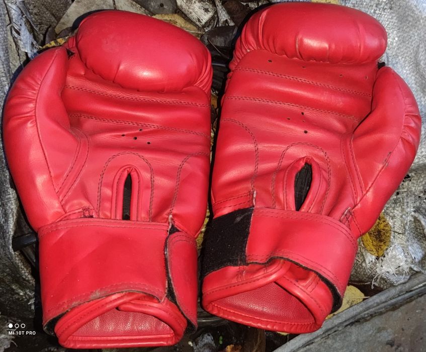 Боксерькі перчатки Boyko sport 10 oz