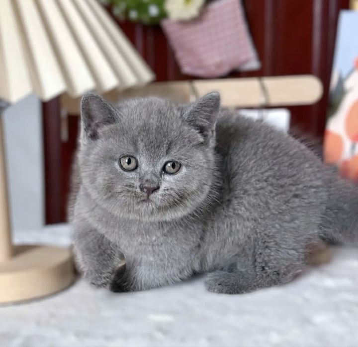 Чудо милый мальчик