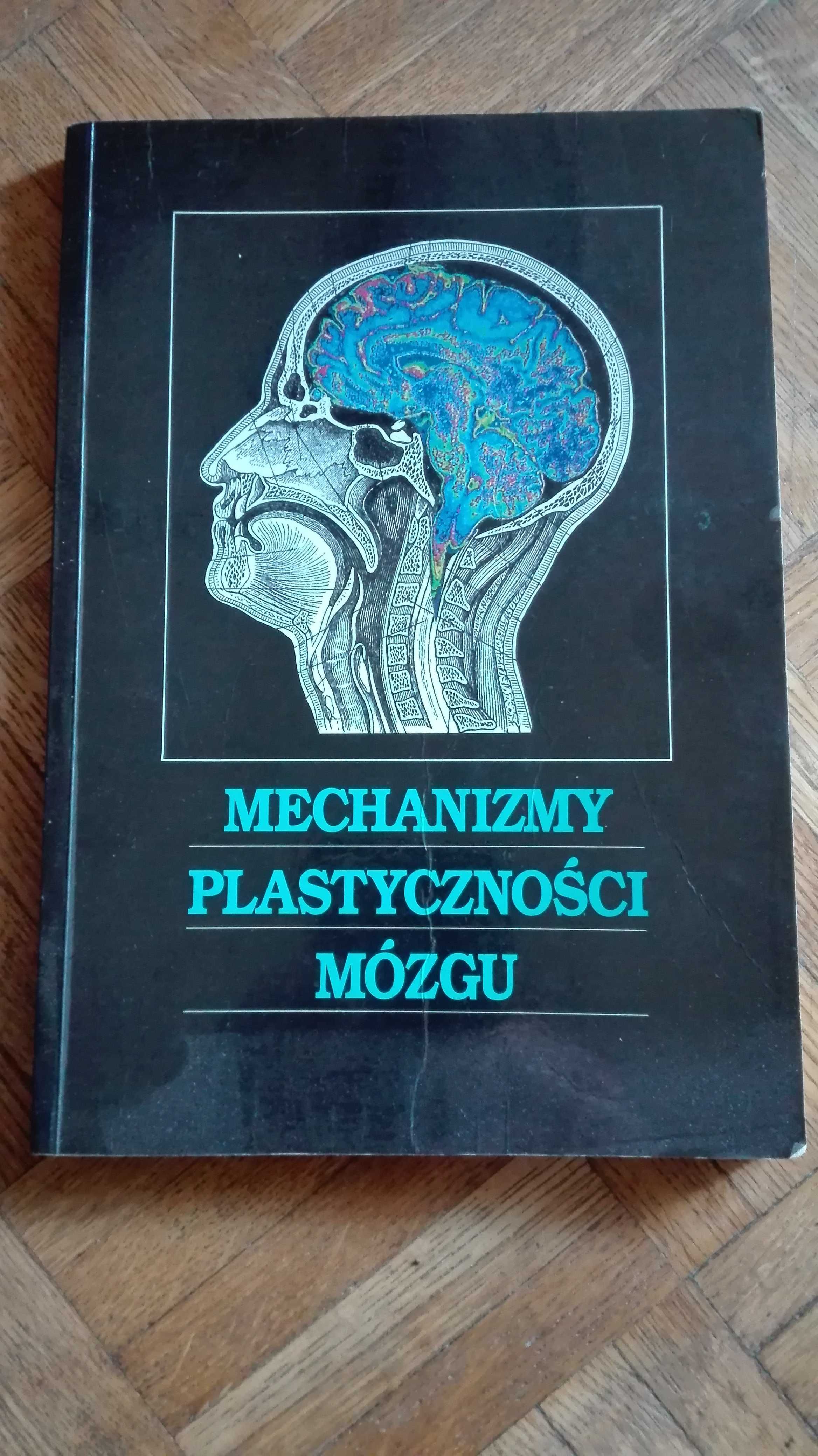 Mechanizmy plastyczności mózgu Kossut