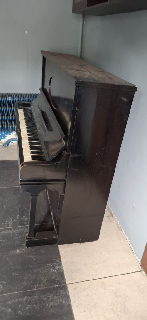 pianino arnold fibiger