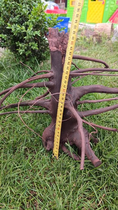 Коряга в аквариум