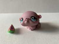 Littlest pet shop chomik # 894