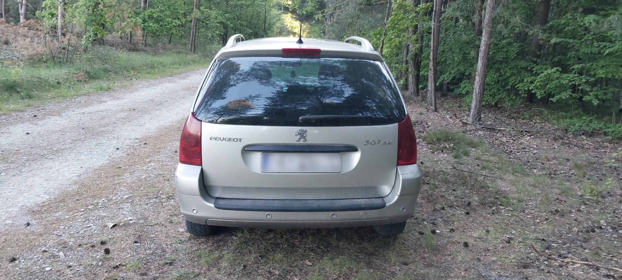 Peugeot 307 SW  1,6 hdi z 2005 roku
