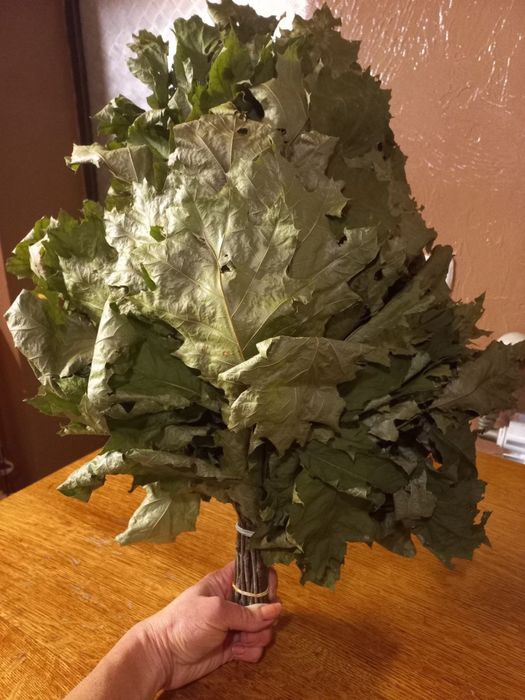 Продам віники для бані