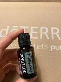 doTerra Eukaliptus 15ml