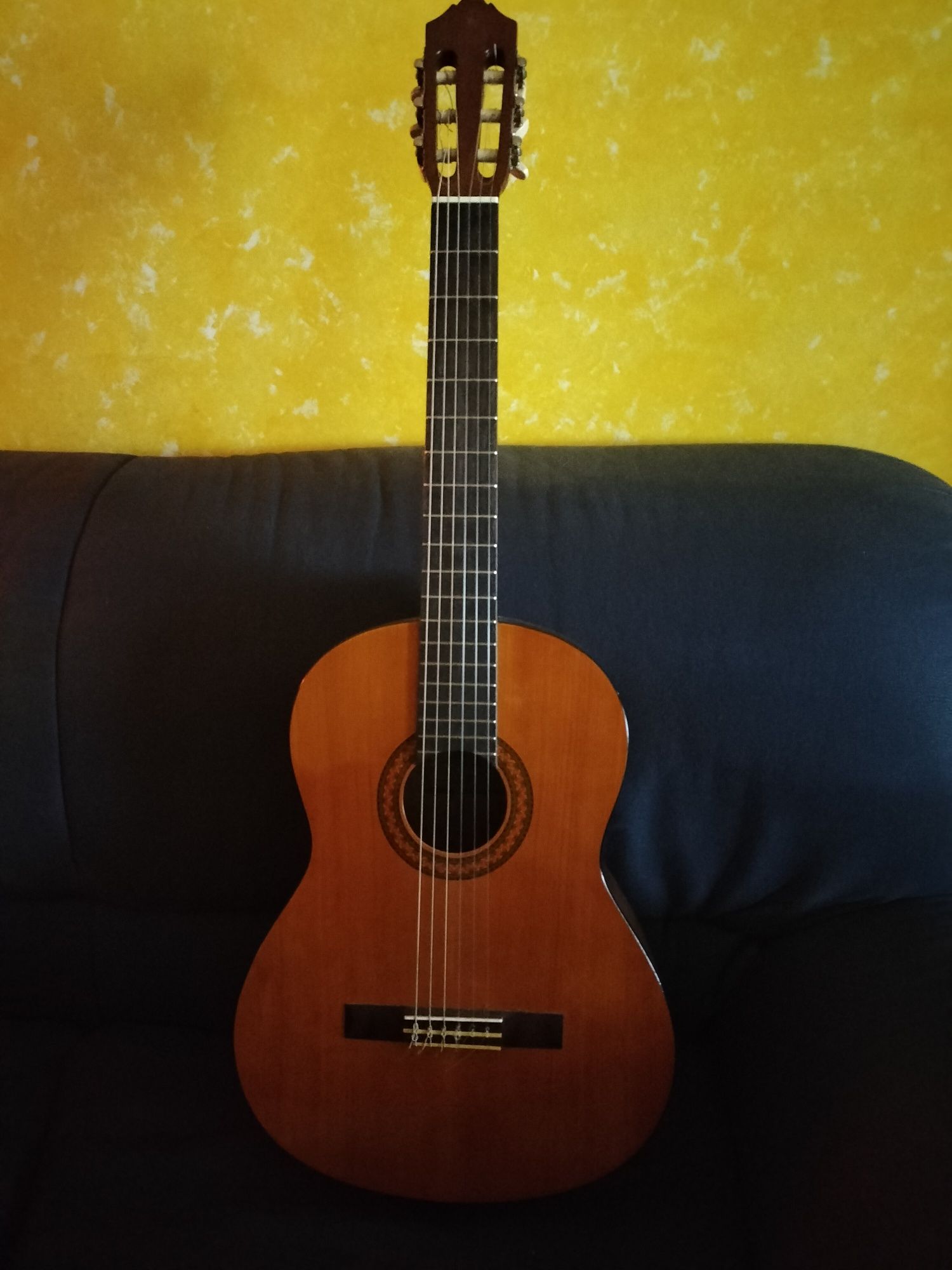 Guitarra Yamaha C40 + saco transporte