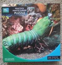 Puzzle Peacock Mantis Shrimp puzzle 500