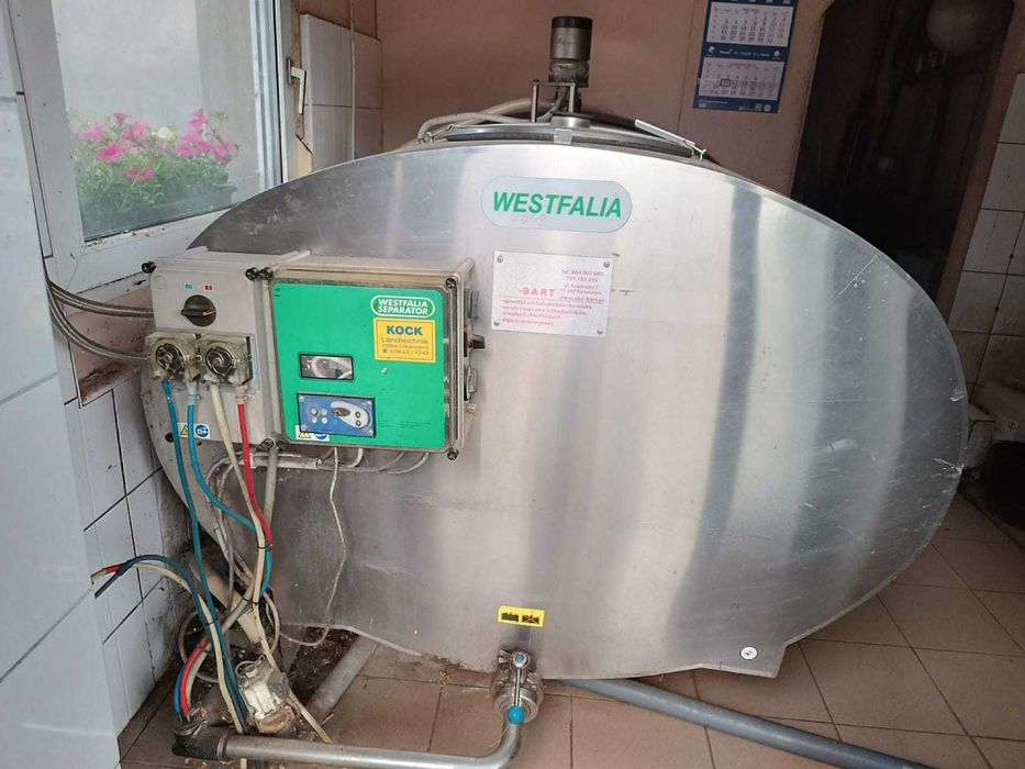 Zbiornik na mleko z wymiennikiem ciepła, hala udojowa