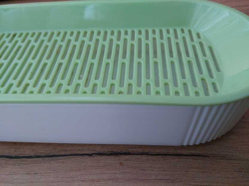 Hydroponiczne pudełko na trawę dla kota Zielone