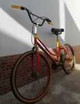 Bicicleta - ideal para aprendizagem
