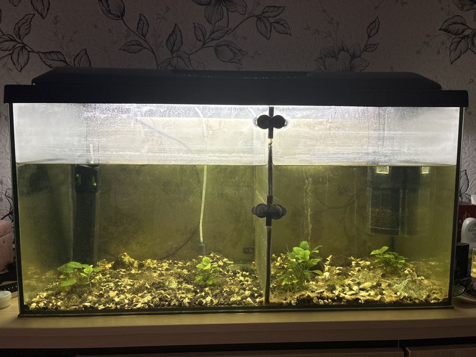 Продам акваріум100л