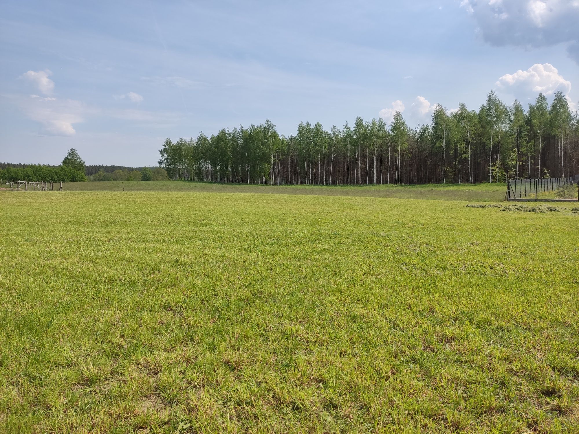 Działka rekreacyjna, Mazury, warunki zabudowy, jezioro, las,