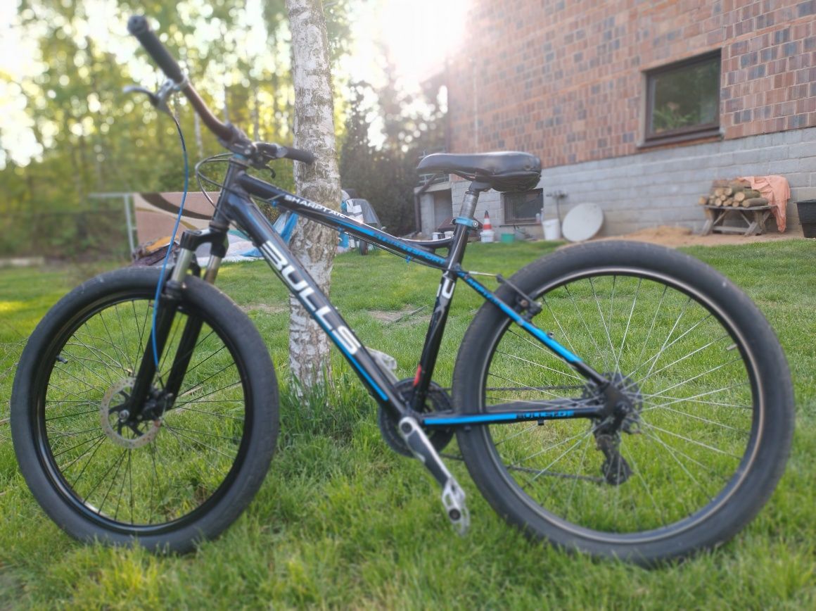 Rower bulls shamptail xc