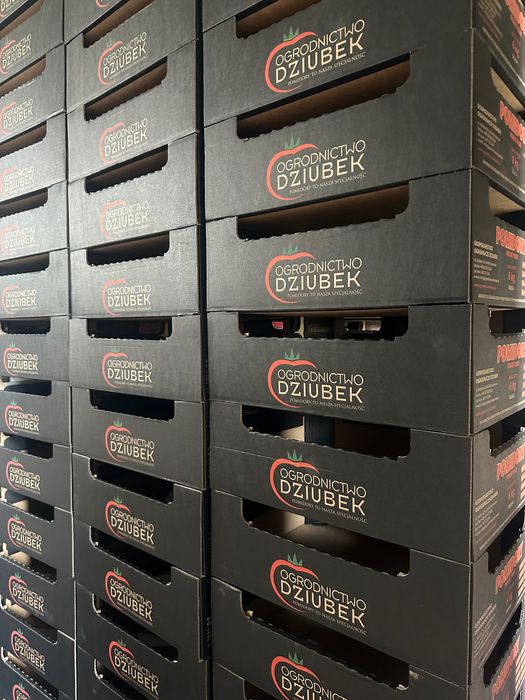 Kartony po pomidorach